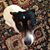 John Hepp's profile image