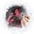 Stacie Strassberg's profile image