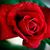 Eloyce Chimitt's profile image