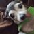 Rosalie Sobiesiak's profile image