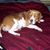 Jasmine Marianne Olin's profile image