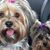Debby Lynne Rennirt's profile image