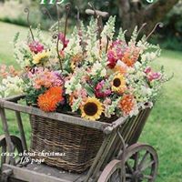 Cathleen Felice's profile image