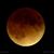 Carol Switzer's profile image