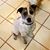 Lyn Hughes's profile image