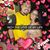 Elvia Alvarado's profile image