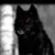 Jason D. Ledbetter's profile image