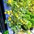 Nancy G MG's profile image