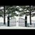 Sandy Stephens Gile's profile image