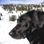 Sara Germain's profile image