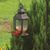 Deb Moreland's profile image