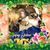 Joan Ziemer Monson's profile image