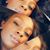 Shey Powell's profile image