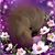 Eleanor McCutcheon Goodgame's profile image
