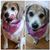 Colleen Curry's profile image