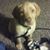 Janice Donley's profile image