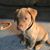 Peggy Sue O'neill's profile image