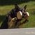Gary Larson's profile image