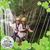 Priscella Crews's profile image