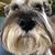 Jack D Ladner's profile image