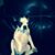 Chris Adcox's profile image