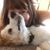 Gina Allison's profile image