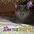 Valerie Knight's profile image