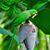 Erick Parra Juarez's profile image