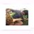 Jerarmy M. Lugo Bracero's profile image