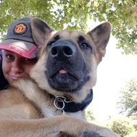 Amanda Tomlin's profile image