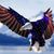 Jeff Davidson's profile image