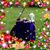 Diane Richmond's profile image