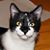Craig Smith's profile image