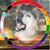 Adam Willis's profile image