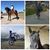 Valentin Soledad Castillo's profile image