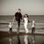 Emily Gaudet Collom's profile image