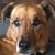 Linda Lapour's profile image