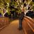 Jose Sandobal's profile image