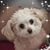 Margaret Safford's profile image