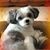 Kathy Pratt's profile image