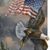 Nancy Bill Wolfe's profile image