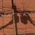Bill Steil's profile image