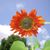 Dawn Marie Winkler Wilson's profile image
