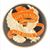 Sean Elliott's profile image