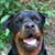 Bill Stampler's profile image
