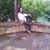 Romelia Rivera's profile image