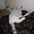 Sue Benson Baumann's profile image