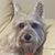 Claudia Garcia's profile image