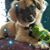 Linda Gault's profile image
