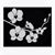 Aurora Piz Brisgel's profile image